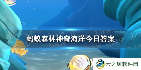 唯一能在开阔水域上自主生长的藻类是 神奇海洋12月31日答案